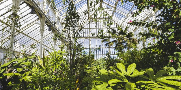 Director of science at Kew: it’s time to decolonise botanical collections