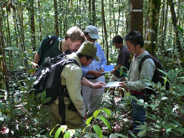 What Role Does Securing Forest and Community Land Rights Play in Development?