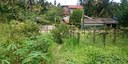 Eskil Mattsson invited by the UN-REDD programme and Government of Sri Lanka to hold a key-note address on forests and agroforestry 