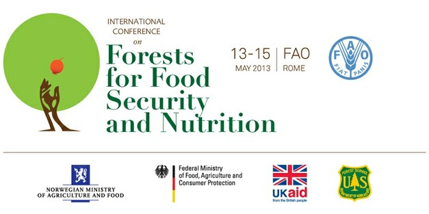 FAO International Conference on Forests for Food Security and Nutrition