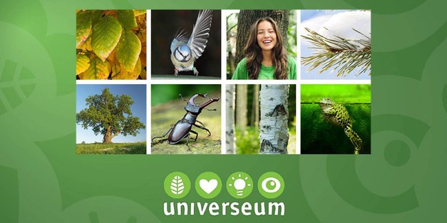 Focali a partner when Swedish forest is in focus at Universeum 