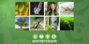Focali a partner when Swedish forest is in focus at Universeum 