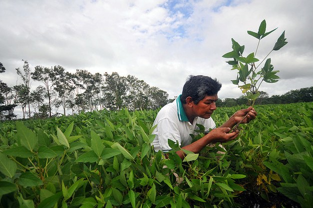 New tool makes it possible to trace internationally traded commodities to the farm level 