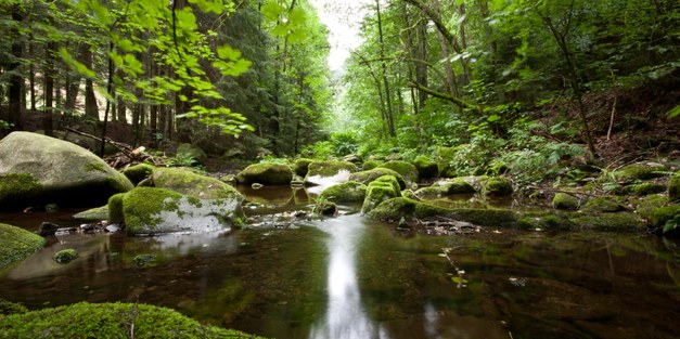 OPPORTUNITY: Post doc in transformative sustainability science