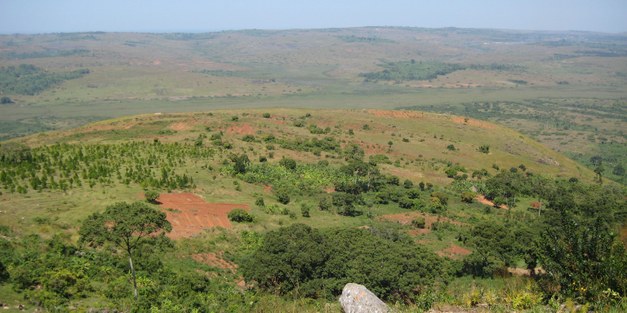 Professor Gowin Kowero from The African Forest Forum has been appointed to be Honorary Doctor at SLU 