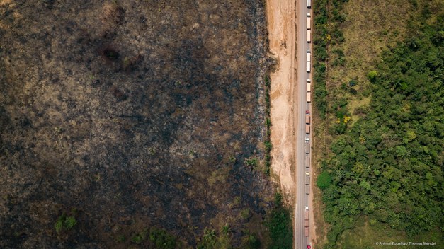 Three postdoc-positions in policies for deforestation-free landscapes