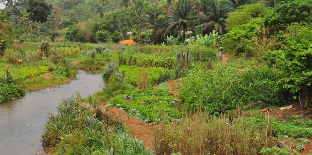 Inbjudan till seminarium: Landscapes in a carbon focused world 