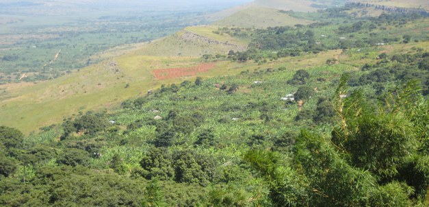 Konferens: Production and Carbon Dynamics in Sustainable Agriculture and Forest Systems in Africa–Science Needs and Deeds