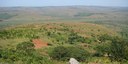 Professor Godwin Kowero från The African Forest Forum är utnämnd till hedersdoktor vid SLU