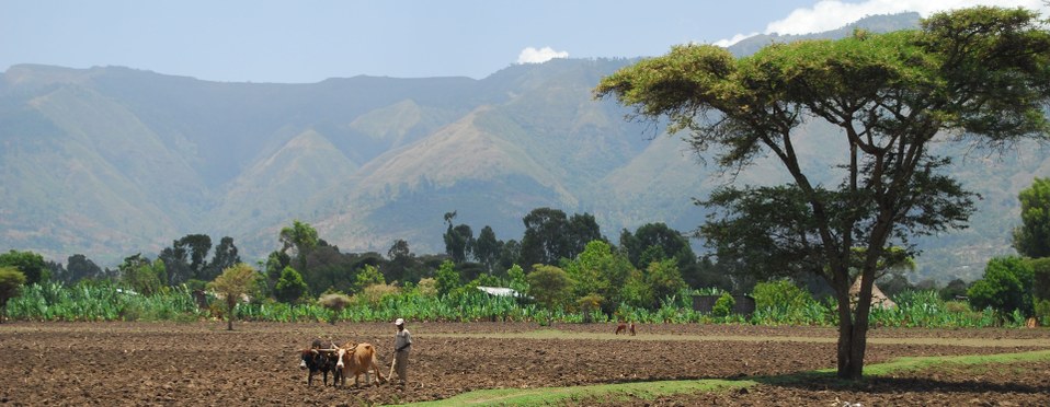 Multifunctional landscapes